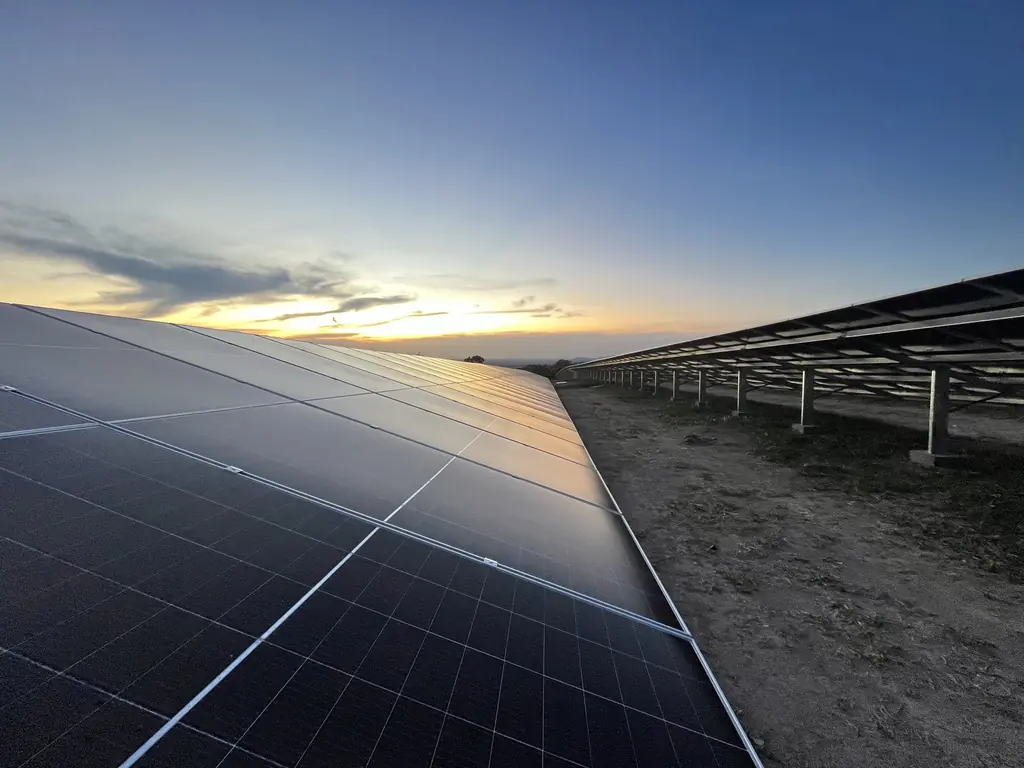 Fileira de painéis solares no fim da tarde